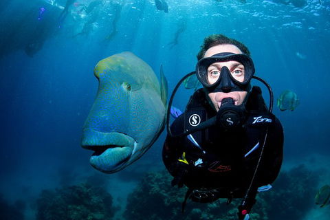 Full Day Reef Cruise Including 10 Minute Heli Scenic Flight: Get High Package - Perths Hotel 1
