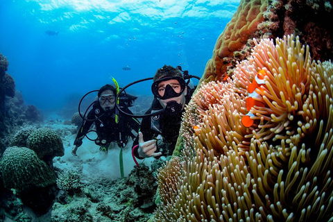 Full Day Reef Cruise Including 10 Minute Heli Scenic Flight: Get High Package - Perths Hotel 5