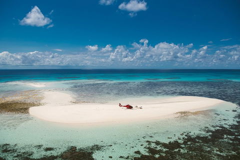 Private Helicopter Tour: Reef Island Snorkeling And Gourmet Picnic Lunch - Perths Hotel 4