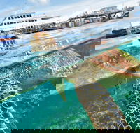 Scenic Helicopter Flight to Moore Reef and Return Snorkeling Cruise from Cairns - Perths Hotel