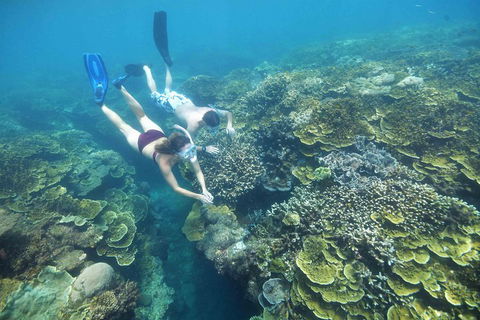 Scenic Helicopter Flight To Moore Reef And Return Snorkeling Cruise From Cairns - Perths Hotel 1