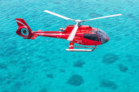 Port Douglas Scenic Flights - Perths Hotel 2