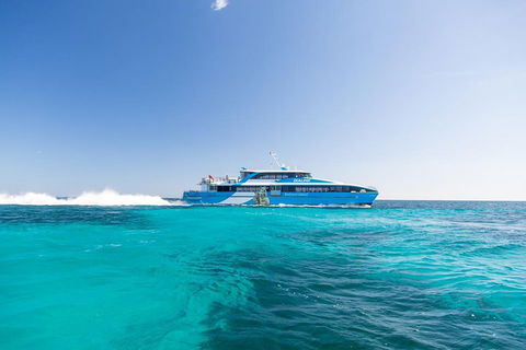 Fremantle To Rottnest Island Roundtrip Ferry Ticket - Perths Hotel 0