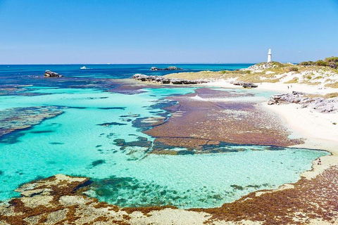 Fremantle To Rottnest Island Roundtrip Ferry Ticket - Perths Hotel 2
