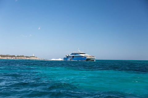 Fremantle To Rottnest Island Roundtrip Ferry Ticket - Perths Hotel 5