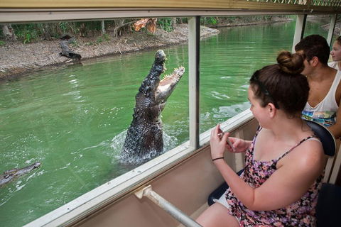 Hartley's Crocodile Adventures Day Trip From Cairns - Perths Hotel 3