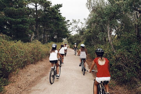 Self-Guided Point Nepean National Park Bike Hire - Perths Hotel 3
