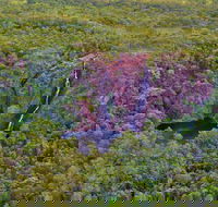 Litchfield Park  Daly River - Scenic Flight From Darwin - Perths Hotel