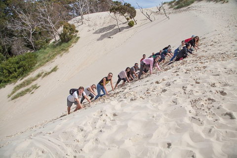 6-Day Tasmanian Explorer Adventure Tour From Hobart - Perths Hotel 2
