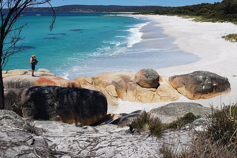 2-Day Tas East Coast Escape Tour Including Bay Of Fires, Wineglass Bay & Devils - Perths Hotel 4