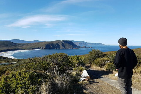 4-Day Fabulous Tasmania Tour: Wineglass Bay, Port Arthur, Devils & Bruny Island - Perths Hotel 0
