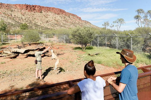 Alice Springs Desert Park General Entry Ticket - Perths Hotel 4