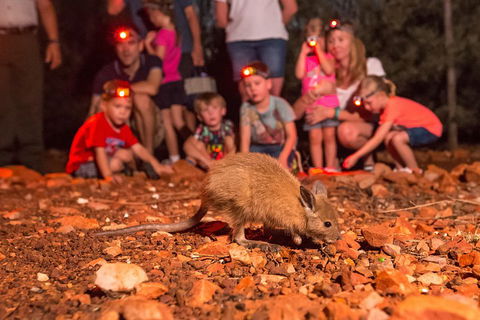 Alice Springs Desert Park Nocturnal Tour - Perths Hotel 1