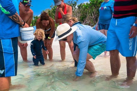 Whitehaven Beach And Hamilton Island Cruise - Perths Hotel 1