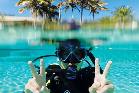 Adventure Moreton Island Scuba Dive Tour - Perths Hotel 2