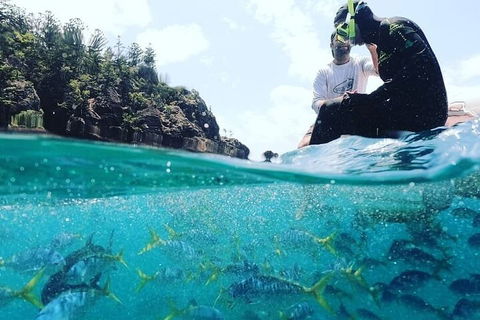 2 Night Small Group Whitsundays Sailing Adventure Aboard Mandrake - Perths Hotel 5