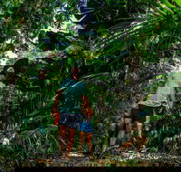 Full Day Daintree Rainforest and Mossman Gorge Tour - Perths Hotel
