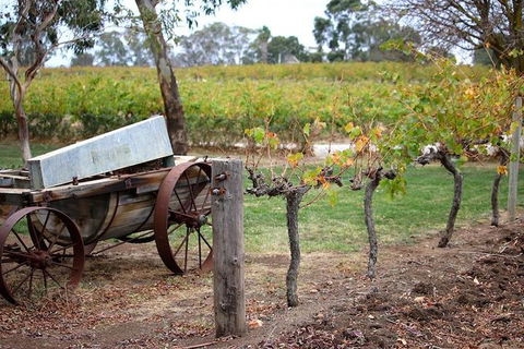 Maggie Beer Farm - Barossa Valley Regional Tour - Perths Hotel 1