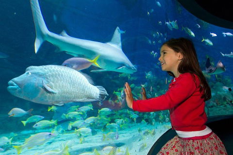 SEA LIFE Melbourne Aquarium Admission Ticket - Perths Hotel 1