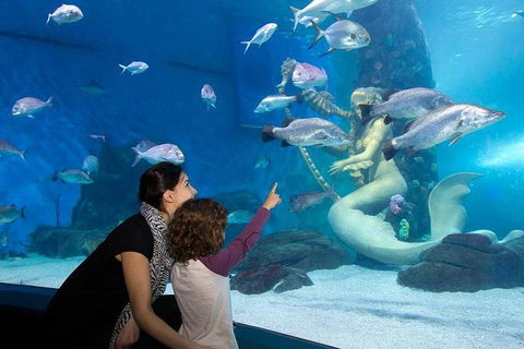 SEA LIFE Melbourne Aquarium Admission Ticket - Perths Hotel 4