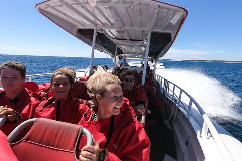 Adventure Rottnest Tour With Ferry & Adventure Cruise From Perth Or Fremantle - Perths Hotel 0