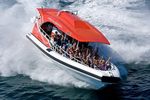 Adventure Rottnest Tour With Ferry & Adventure Cruise From Perth Or Fremantle - Perths Hotel 2