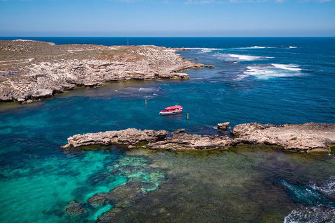 Adventure Rottnest Tour With Ferry & Adventure Cruise From Perth Or Fremantle - Perths Hotel 3