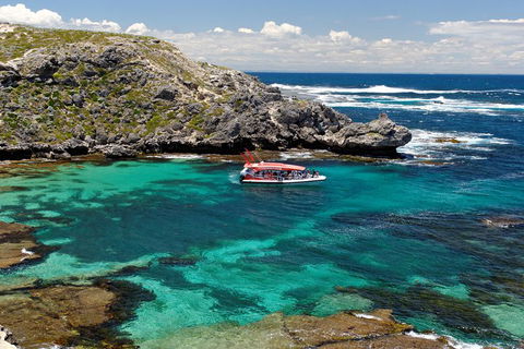 Adventure Rottnest Tour With Ferry & Adventure Cruise From Perth Or Fremantle - Perths Hotel 5