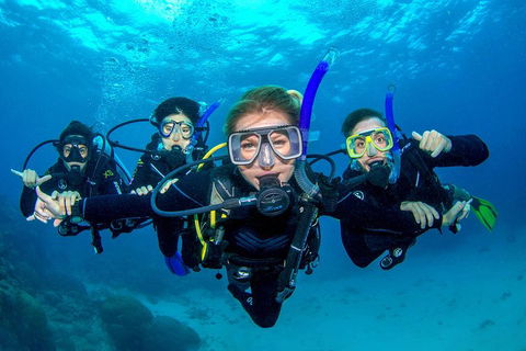 Great Barrier Reef Diving And Snorkeling Cruise From Cairns - Perths Hotel 0