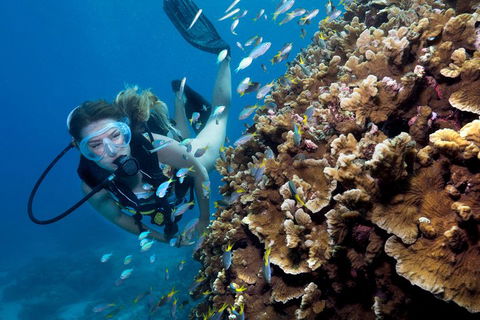 Great Barrier Reef Diving And Snorkeling Cruise From Cairns - Perths Hotel 1