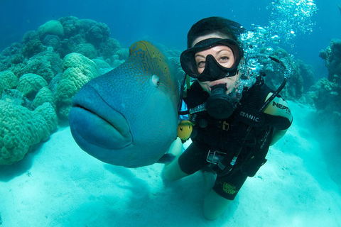 Great Barrier Reef Diving And Snorkeling Cruise From Cairns - Perths Hotel 2