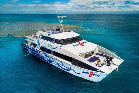 Great Barrier Reef Diving And Snorkeling Cruise From Cairns - Perths Hotel 5
