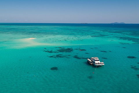 Ocean Freedom Great Barrier Reef Personal Luxury Snorkel & Dive Cruise, Cairns - Perths Hotel 2