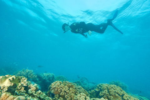Ocean Freedom Great Barrier Reef Personal Luxury Snorkel & Dive Cruise, Cairns - Perths Hotel 5