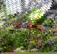Australian Butterfly Sanctuary - Perths Hotel