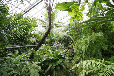 Australian Butterfly Sanctuary - Perths Hotel 3