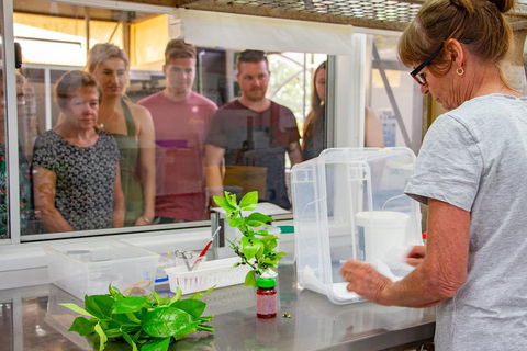 Australian Butterfly Sanctuary - Perths Hotel 5