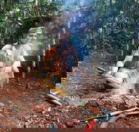 Kuranda Highlights including Rainforestation Aboriginal Culture and Wildlife - Perths Hotel