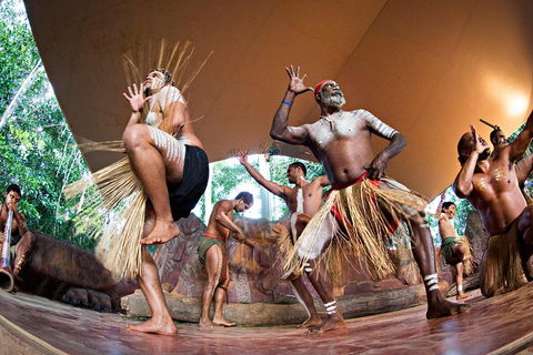 Kuranda Highlights Including Rainforestation Aboriginal Culture And Wildlife - Perths Hotel 1