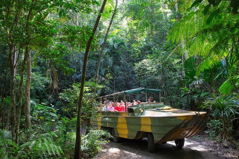 Kuranda Highlights Including Rainforestation Aboriginal Culture And Wildlife - Perths Hotel 2