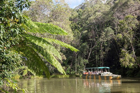 Best Of Kuranda Including Skyrail, Kuranda Scenic Railway And Rainforestation - Perths Hotel 5
