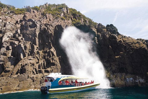 Full-Day Bruny Island Cruises Day Tour From Hobart - Perths Hotel 4