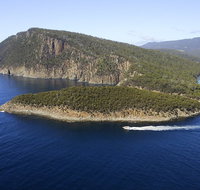 3-Hour Bruny Island Cruise from Adventure Bay Bruny Island - Perths Hotel
