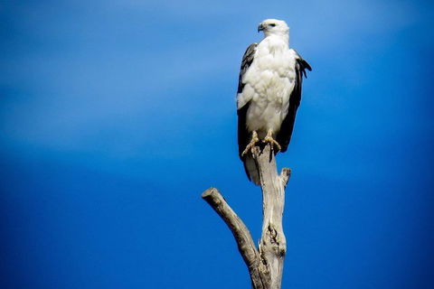 Kangaroo Island 75-Minute Ocean Safari - Perths Hotel 0