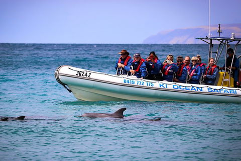 Kangaroo Island 75-Minute Ocean Safari - Perths Hotel 4