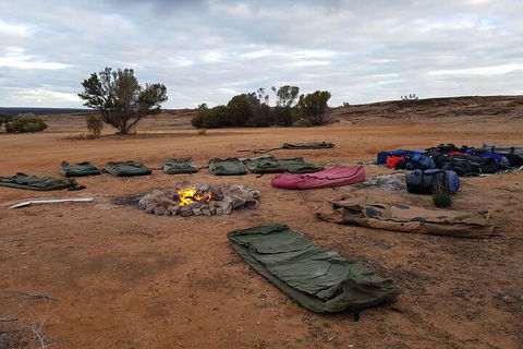 10-Day Perth To Adelaide Adventure Tour - Perths Hotel 0