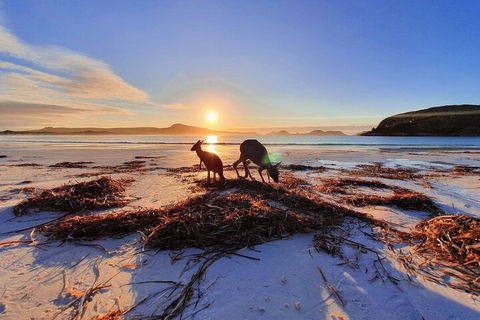 10-Day Perth To Adelaide Adventure Tour - Perths Hotel 1