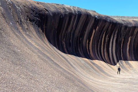 10-Day Perth To Adelaide Adventure Tour - Perths Hotel 3