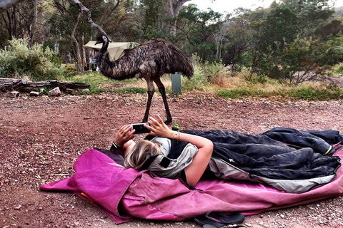 6 Day Esperance & Margaret River Adventure Tour - Perths Hotel 5