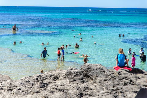 Rottnest Island Roundtrip Fast Ferry From Hillarys Boat Harbour - Perths Hotel 1